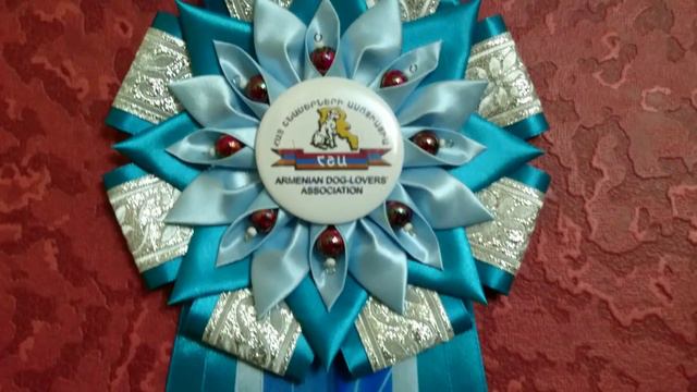 Bull Terrier Danny Honors! ADLA-FCI смотреть онлайн