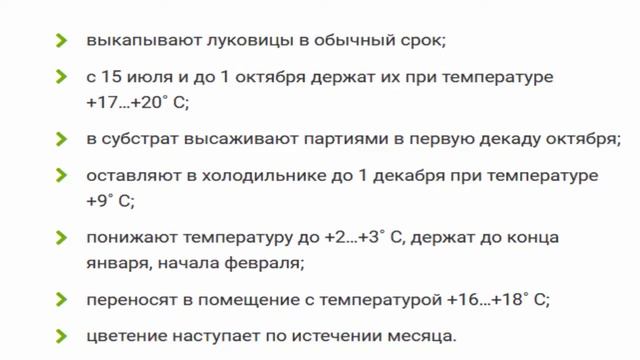 Как вырастить цветы к 8 марта дома? смотреть онлайн