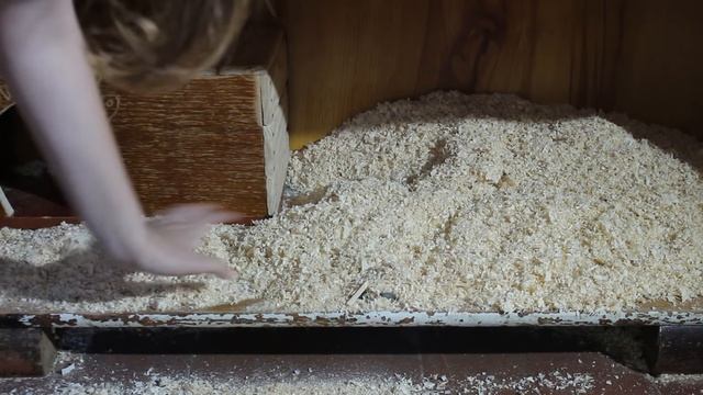 Уборка у хорька и кролика (часть 3) смотреть онлайн