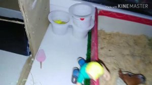 Первое видео. Обзор на конюшню.