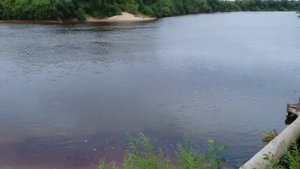 Сахалин.Река Тымь.Большое колено.