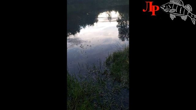 Учу детей ловить рыбку и любить рыбалку! смотреть онлайн