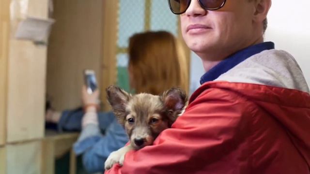 Александр Гагарин группа "Сансара" в гостях у Первоуральского Городского Общества Защиты Животных смотреть онлайн