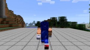 Sonic Minecraft Skin Spotlight