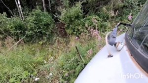 Забрали Отвал! Выдераем Гусянки! Уаз Лебёдка в помощь! Коп Металла! Часть 1!