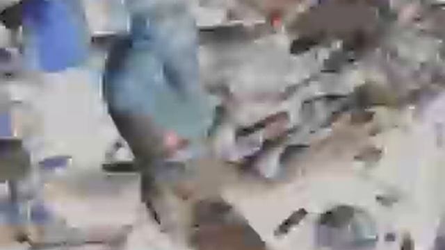 АвтоЗвук.mpg смотреть онлайн