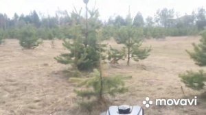 Мотобуксировщик тофалар 500 летом, колесный модуль, отзыв