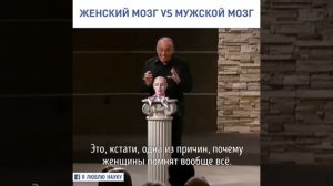 Мужской мозг и женский мозг.