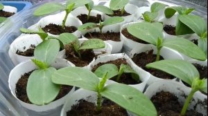 Секрет 3 Продолжаю делиться секретами .mp4