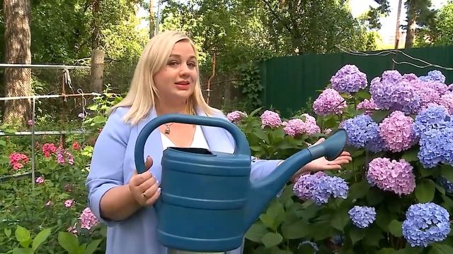 (12+) «Мытищи – это МЫ!»: дачные секреты от Валентины Колесниковой