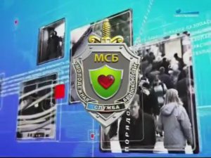 МСБ и канал «СПб»: о кураторах и опасных играх по всему миру