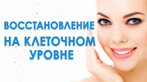Экстракты: чага, облепиха = иммунитет и здоровье