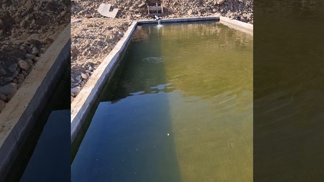 Форелевое хозяйство в Дагестане( село Куштиль)