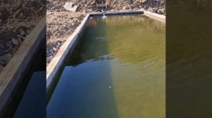 Форелевое хозяйство в Дагестане( село Куштиль)