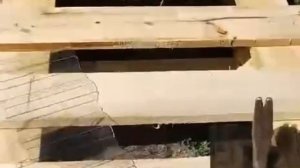 Поликарбонат профилированный BORREX (волновой, трапециевидный, волнообразный, волнистый) УКРАИНА