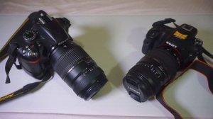 Tamron AF 70-300mm f/4.0-5.6 Di LD Macro 1:2 видеообзор о двух объективах на DSLR Nikon и DSLR Sony