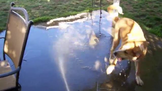 im Gonna Get you sucka!