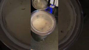 Капучинатор от Kitfort - Kitfort КТ-779