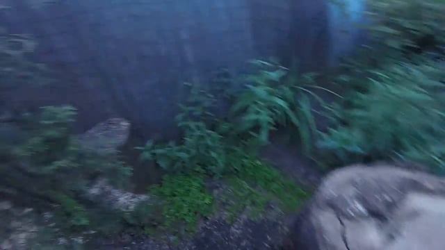 Баня 6х3 сруб из бруса в чашу смотреть онлайн