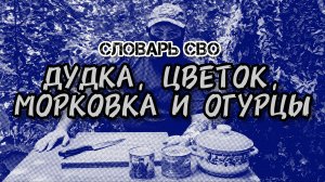 Словарь СВО #3 - Дудка, цветок, морковка и огурцы