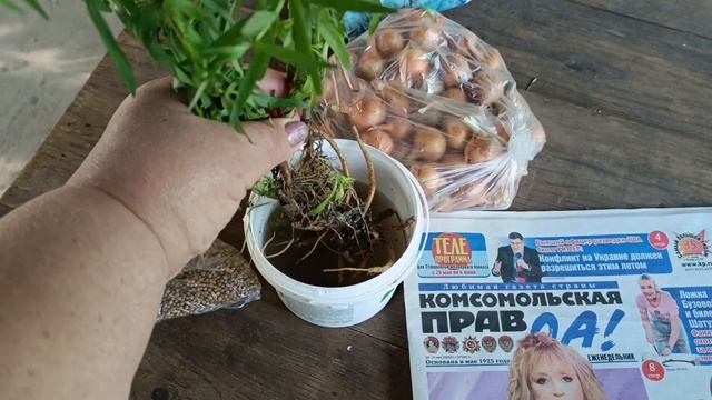 ТАРХУН ?ВИНОГРАД?РАБОТА И ОГОРОД смотреть онлайн