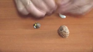 Заяц из шишек и пластилина своими руками & Поделки из шишек / Pine cone bunny crafts