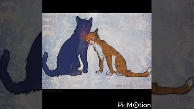 Коты воители Грач и Листвичка смотреть онлайн