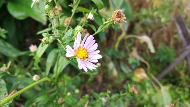 Французский материализм смотреть онлайн