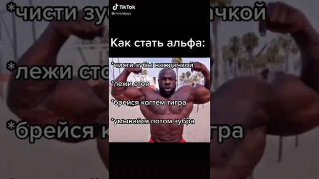 Гайд "Как стать альфой" #2