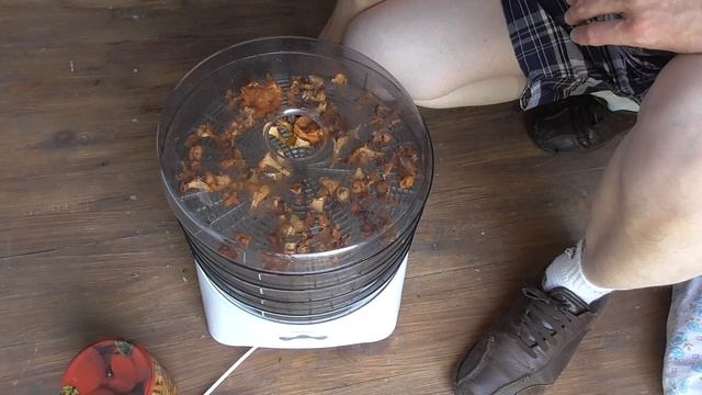 Электрическая сушилка грибов - заготовка трофеев :) смотреть онлайн
