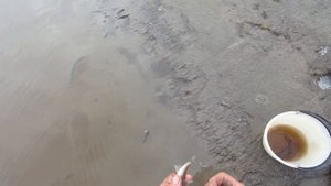 Рыбалка. Жерлицы с берега по простому..