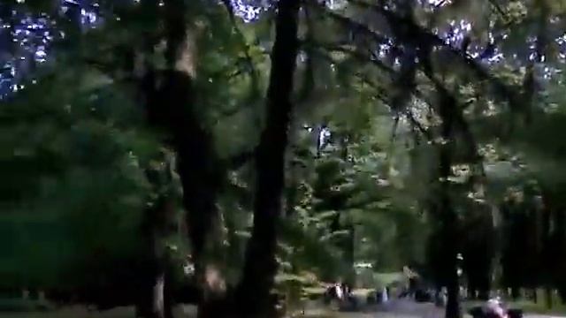 Главный ботанический сад имени Н. В. Цицина РАН 08.06.2019