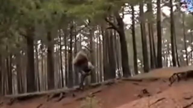 Мужчина верующий в сказки смотреть онлайн