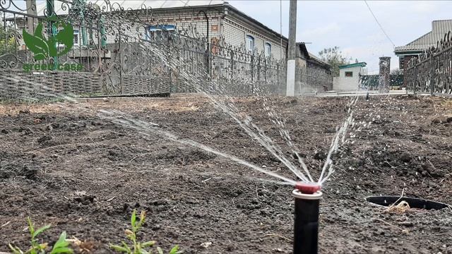 Огляд території приватного будинку.  Гарантійна заміна рослин