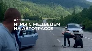 Игры с медведем на автотрассе