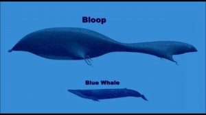Bloop - тайна морей и океанов или новый вид морского чудовища.