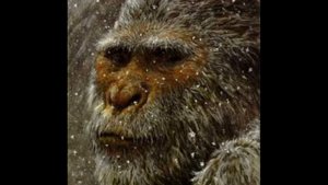 Очевидцы встреч с снежным человеком (лешим, алмасты, йети, сасквач, бигфут) взятые с сайта Троглоди