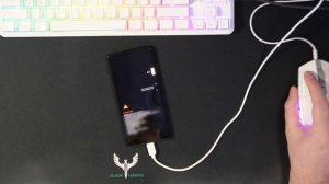 How to Install GrapheneOS for Noobs - Follow Along with GrapheneOS Guide!