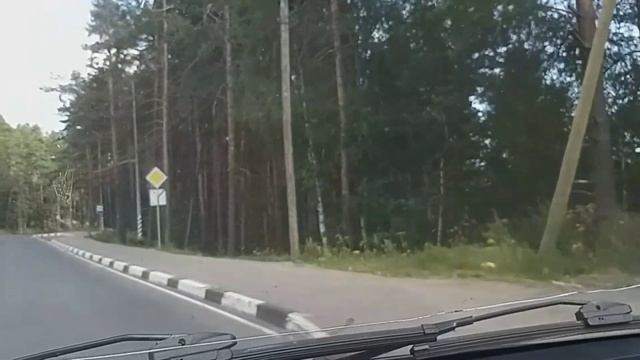 Дорога Мурманск - Медвежегорск - Вологда - Шангалы. Путешествие с собакой. смотреть онлайн