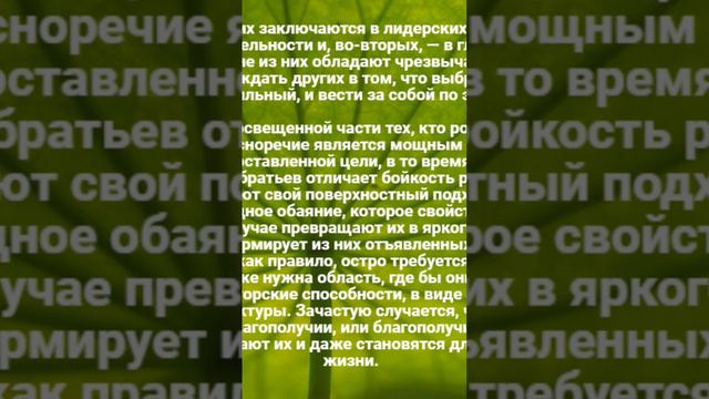 Тельцы, рождённые 19 мая #астрология #телец #зодиак #судьба смотреть онлайн