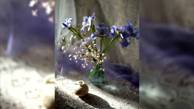 Фотовыставка "Дыхание жизни - легкий миг один...." смотреть онлайн