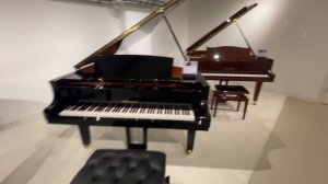 ТЕСТИРУЮ РОЯЛЬ ЗА 50.000 €.