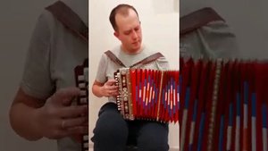Прекрасные гармони мастера Мухоярова. Татарская народная.