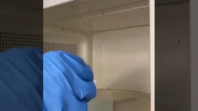лайфхак, как быстро отмыть микроволновку смотреть онлайн