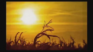 Владимир Высоцкий. Песня о земле.