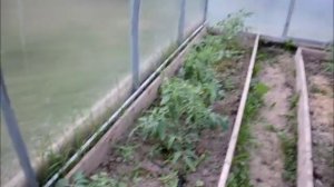 Капельный полив.