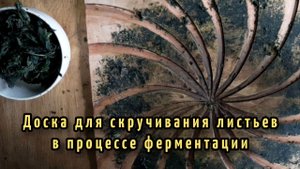 Доска для скручивания листьев в процессе ферментации иван-чая