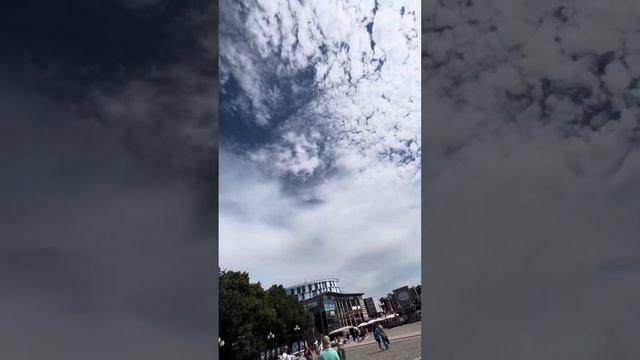 Семейные каникулы в Калининграде/ июль 2023 смотреть онлайн