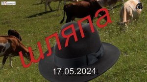 ШЛЯПА