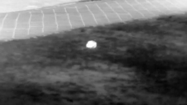 InfiRay T2 Pro смотреть онлайн